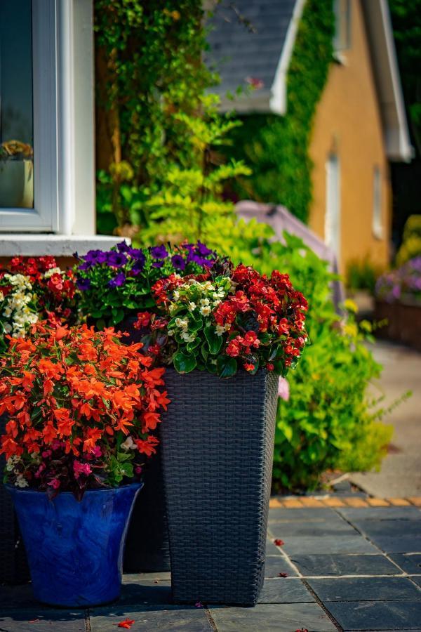 Park Lodge Accommodation Аббифил Экстерьер фото